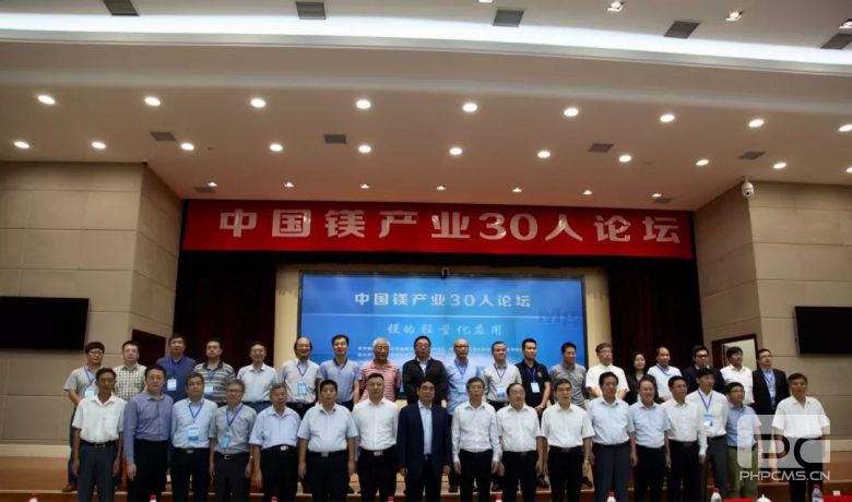 中國鎂產業30人論壇在鶴壁市召開